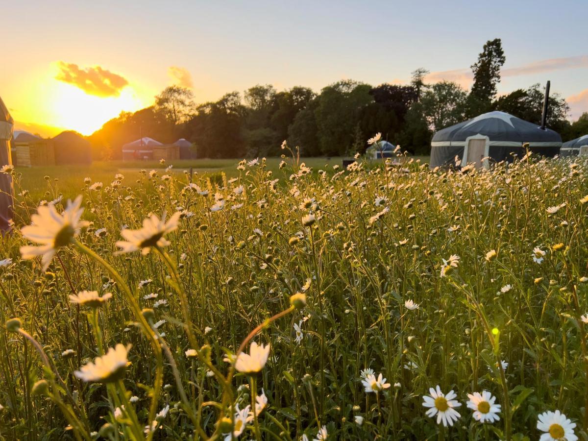 Wild Meadow, Lodge Farm, East Raynham Fakenham Kültér fotó